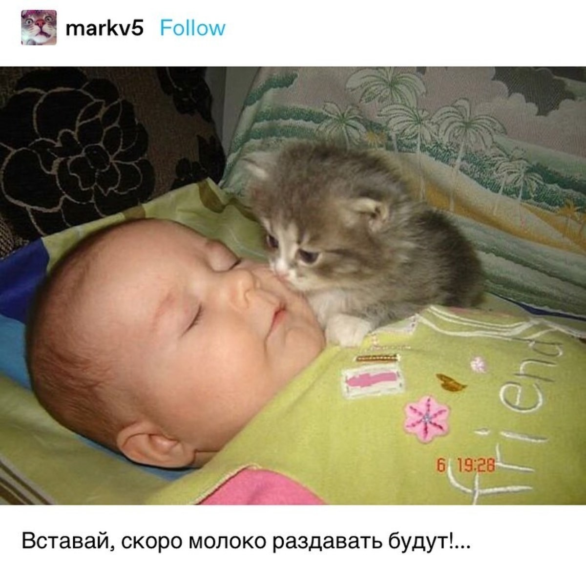 Kitty kiss.jpg
